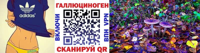 хочу наркоту  Наволоки  Псилоцибиновые грибы мухоморы 